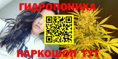 не бодяженный Гагарин